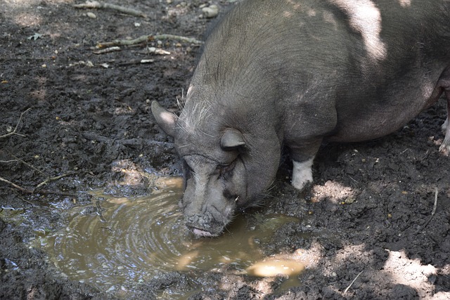 从拜仁慕尼 从拜仁慕尼