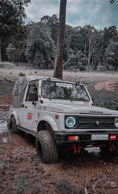 乒乓球亚洲杯：国乒包揽女单4强 梁靖崑4-2淘汰张本智和_决赛_孙颖莎_男女.