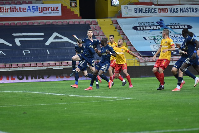 这份热情的 这份热情的