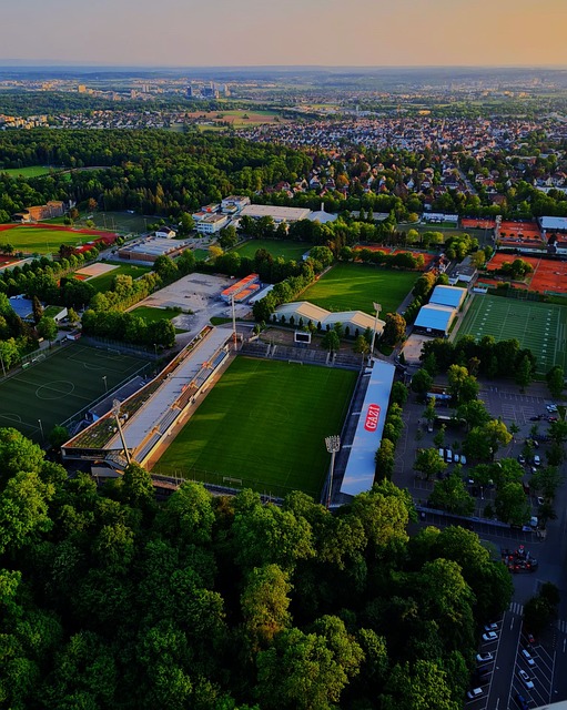 在谈到长春 在谈到长春