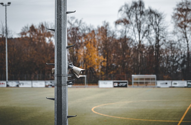 此举的战略 此举的战略